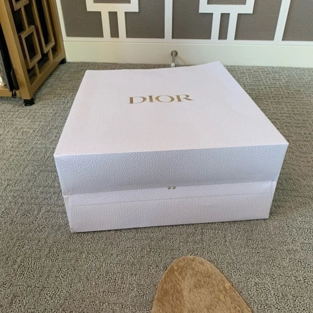Dior Gift Bag